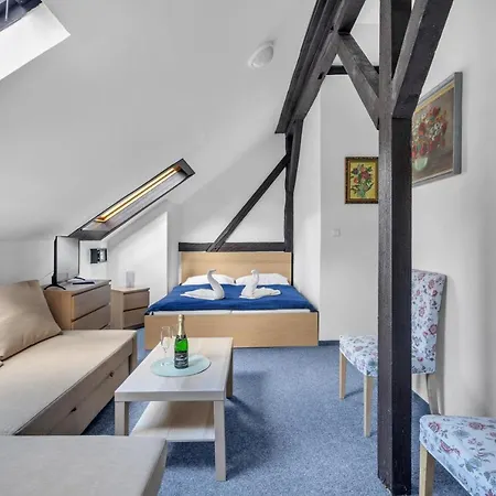 Hotel Cesky Dum Hotel