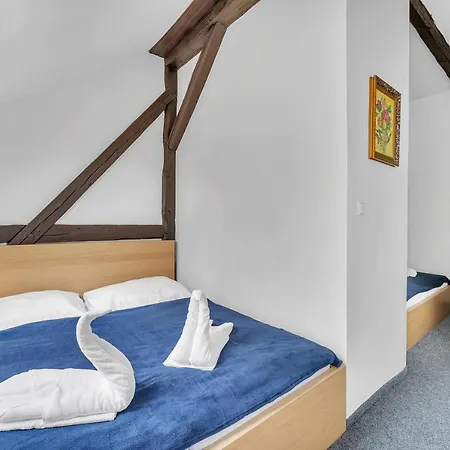 Hotel Český Dům Hotel