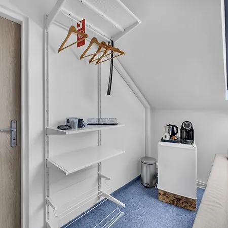 Hotel Cesky Dum Hotel 3*