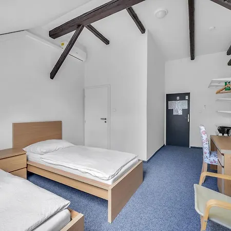 Hotel Hotel Cesky Dum Chomutov