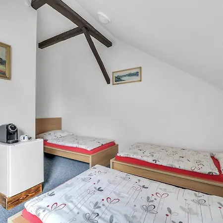 Hotel Cesky Dum Hotel Chomutov