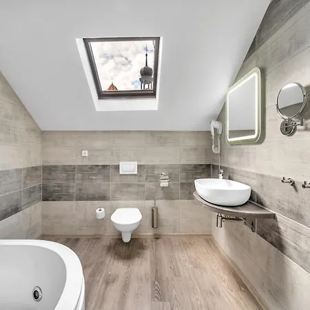 Hotel Cesky Dum 3* Chomutov