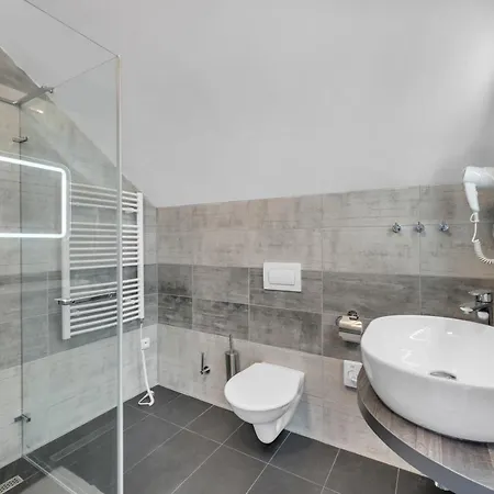 Hotel Cesky Dum Hotel Chomutov