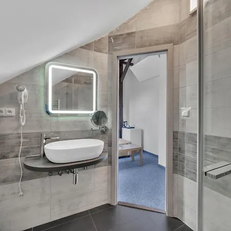 Hotel Hotel Cesky Dum