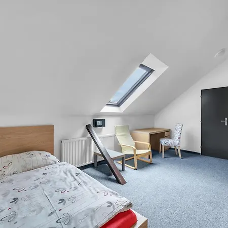 Hotel Hotel Cesky Dum Chomutov