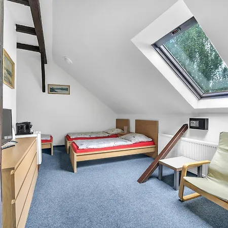 Hotel Cesky Dum Hotel