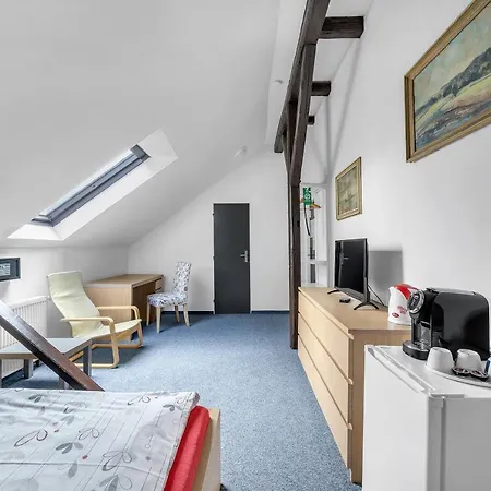Hotel Hotel Cesky Dum 3*