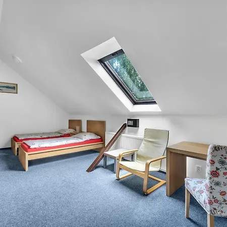 Hotel Cesky Dum