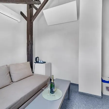 Hotel Cesky Dum Hotel Chomutov