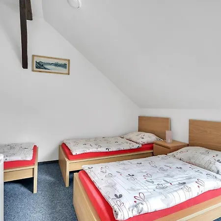 Hotel Cesky Dum 3*