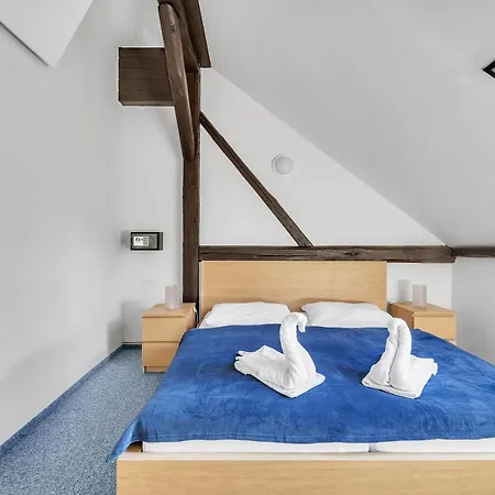 Hotel Hotel Cesky Dum