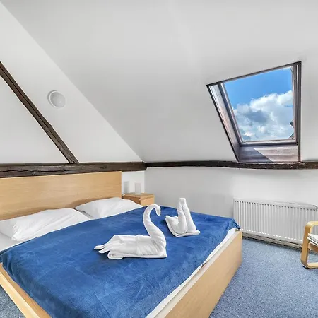 Hotel Cesky Dum Hotel