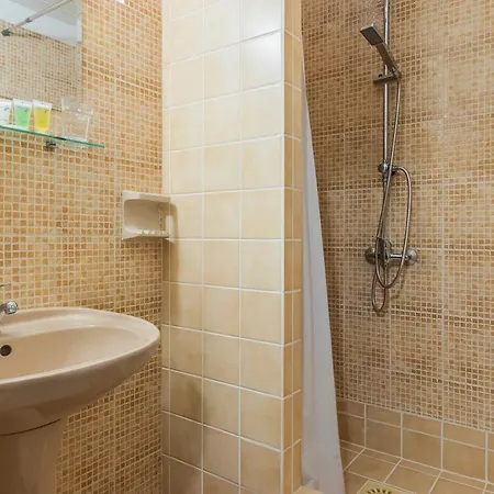 Hotel Cesky Dum Hotel