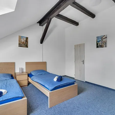 Hotel Hotel Cesky Dum 3*