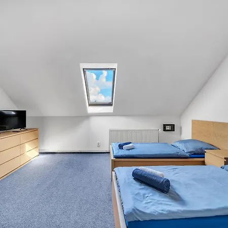 Hotel Cesky Dum Hotel