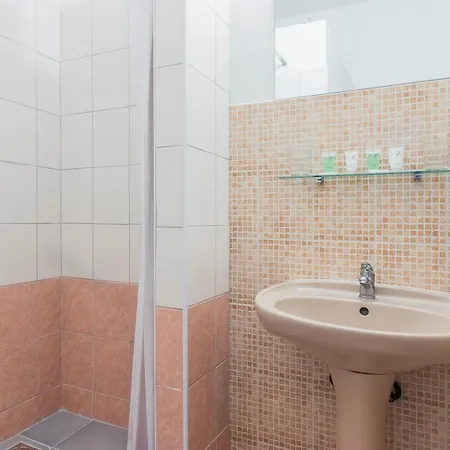 Hotel Cesky Dum Hotel 3*