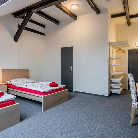 Hotel Cesky Dum 3* Chomutov