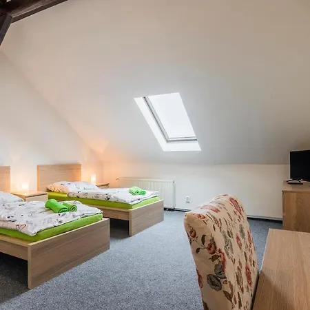 Hotel Cesky Dum Hotel