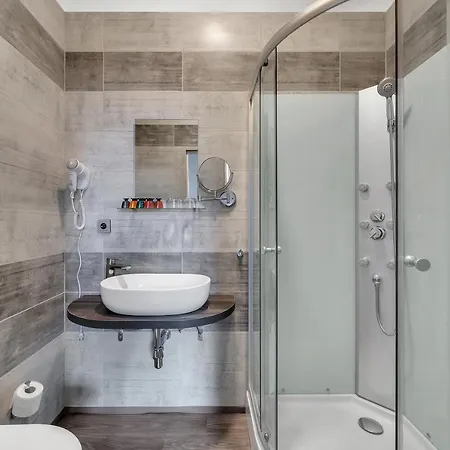 Hotel Hotel Cesky Dum