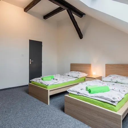 Hotel Cesky Dum Hotel 3*