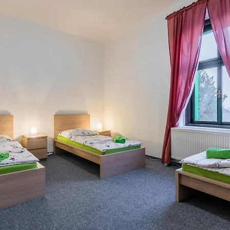 Hotel Cesky Dum Hotel 3*